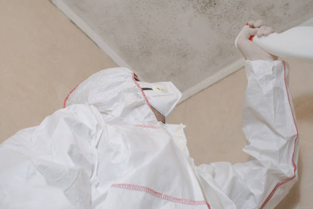 Best Crawl Space Mold Removal  in Atlantic Beach, FL